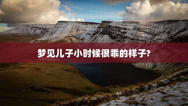 梦见儿子小时候很乖的样子?