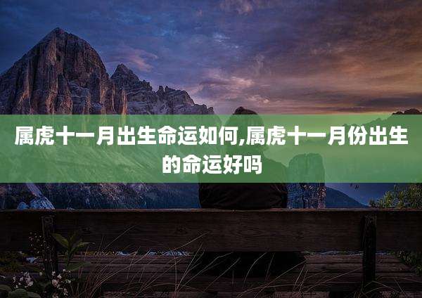 属虎十一月出生命运如何,属虎十一月份出生的命运好吗