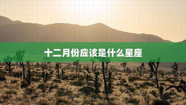 十二月份应该是什么星座