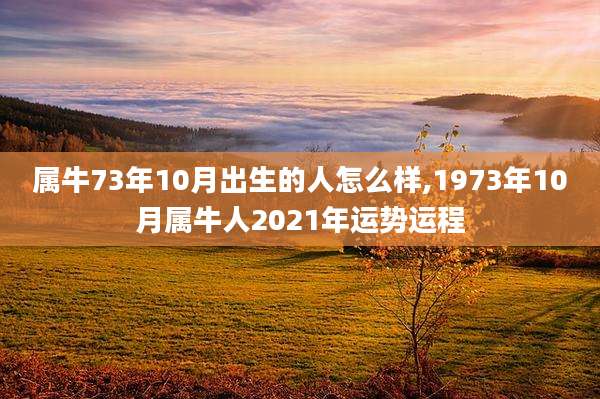 属牛73年10月出生的人怎么样,1973年10月属牛人2021年运势运程
