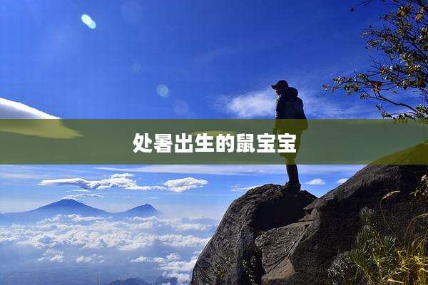 处暑出生的鼠宝宝