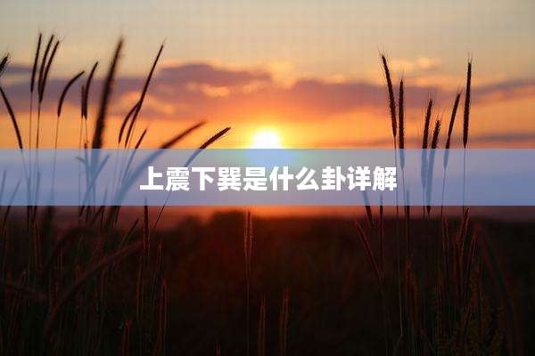 上震下巽是什么卦详解