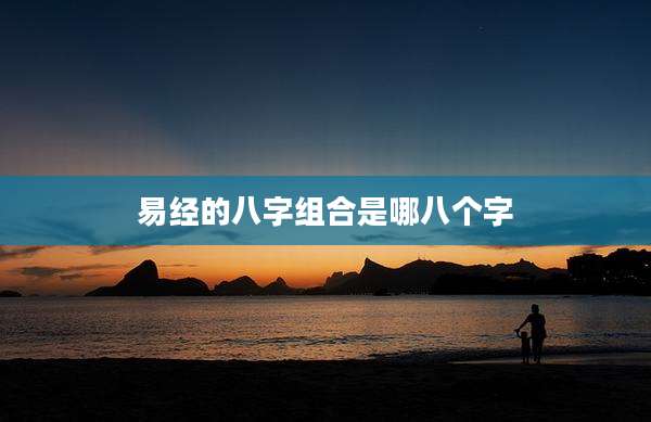 易经的八字组合是哪八个字