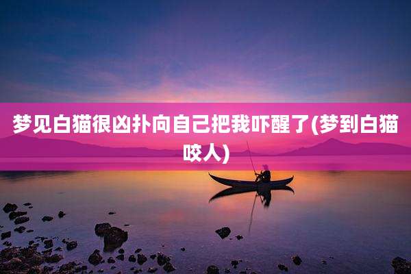 梦见白猫很凶扑向自己把我吓醒了(梦到白猫咬人)