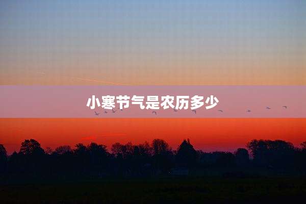 小寒节气是农历多少