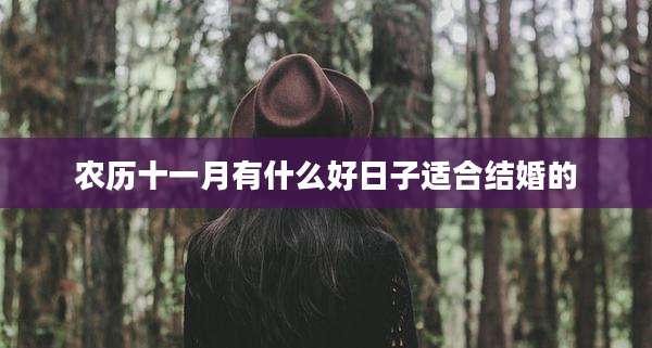 农历十一月有什么好日子适合结婚的