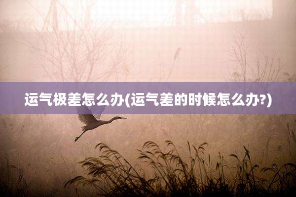 运气极差怎么办(运气差的时候怎么办?)