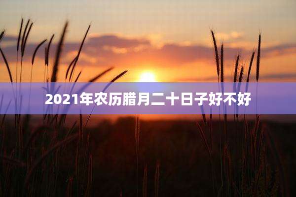 2021年农历腊月二十日子好不好