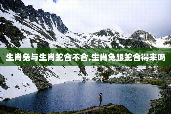 生肖兔与生肖蛇合不合,生肖兔跟蛇合得来吗
