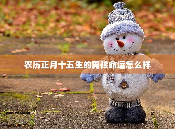 农历正月十五生的男孩命运怎么样