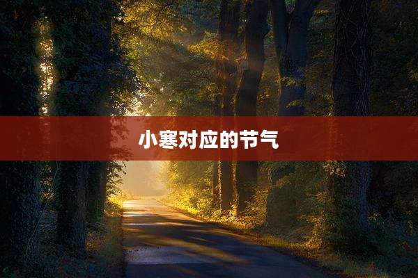 小寒对应的节气