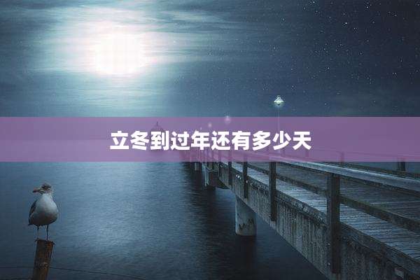 立冬到过年还有多少天