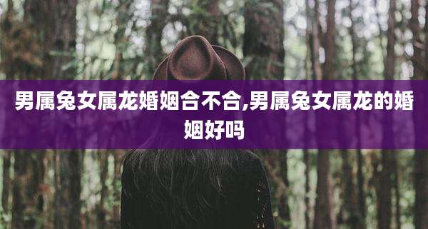 男属兔女属龙婚姻合不合,男属兔女属龙的婚姻好吗