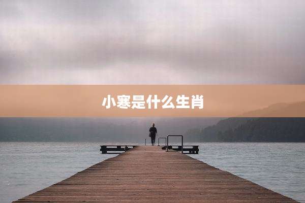 小寒是什么生肖