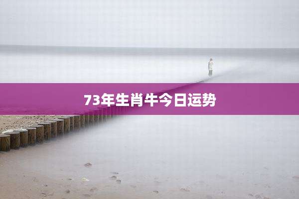 73年生肖牛今日运势