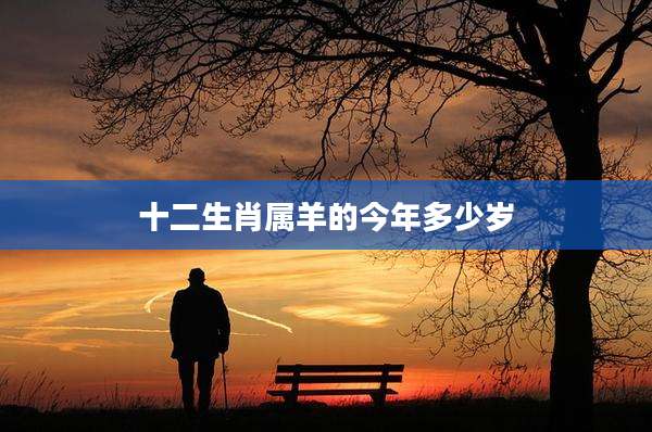 十二生肖属羊的今年多少岁