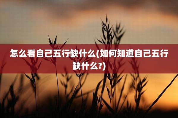 怎么看自己五行缺什么(如何知道自己五行缺什么?)