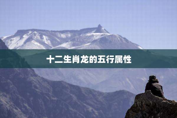 十二生肖龙的五行属性