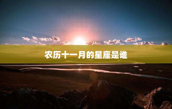 农历十一月的星座是谁