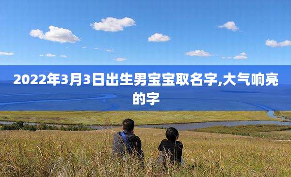 2022年3月3日出生男宝宝取名字,大气响亮的字