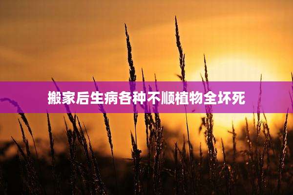 搬家后生病各种不顺植物全坏死
