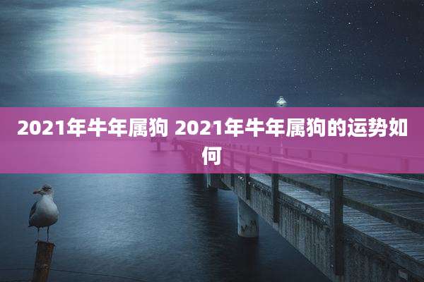2021年牛年属狗 2021年牛年属狗的运势如何
