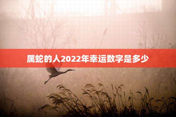 属蛇的人2022年幸运数字是多少