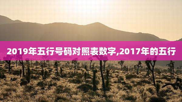 2019年五行号码对照表数字,2017年的五行