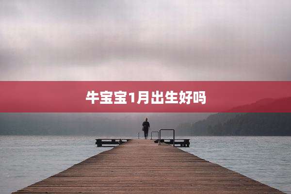 牛宝宝1月出生好吗