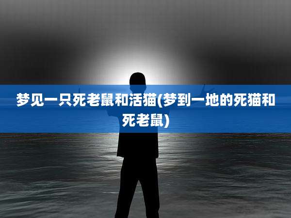 梦见一只死老鼠和活猫(梦到一地的死猫和死老鼠)