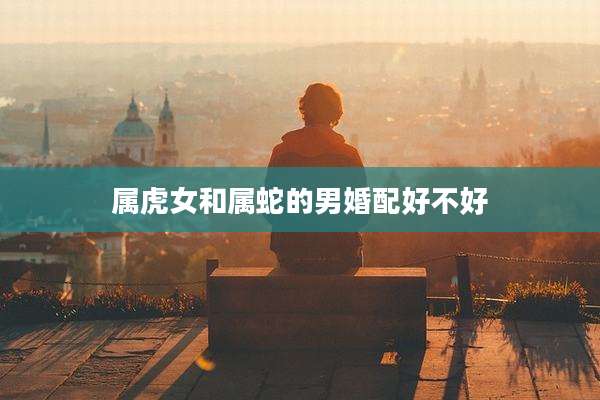 属虎女和属蛇的男婚配好不好