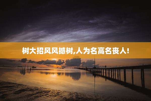 树大招风风撼树,人为名高名丧人!