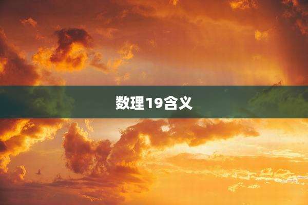 数理19含义