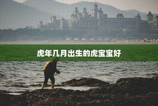 虎年几月出生的虎宝宝好