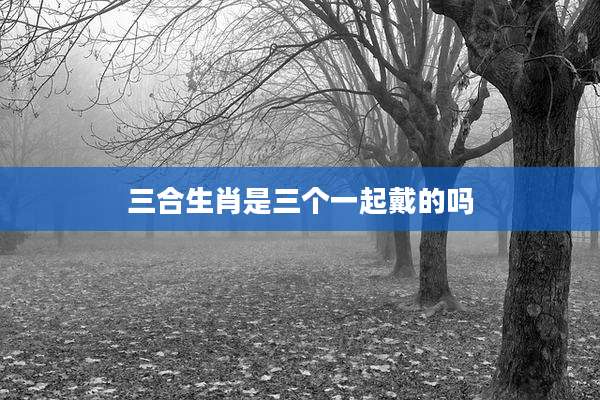 三合生肖是三个一起戴的吗