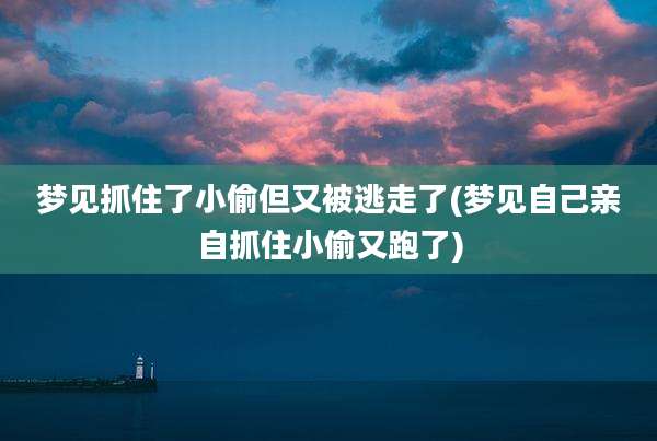 梦见抓住了小偷但又被逃走了(梦见自己亲自抓住小偷又跑了)