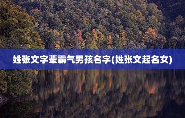 姓张文字辈霸气男孩名字(姓张文起名女)