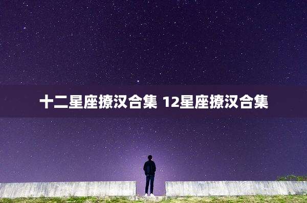 十二星座撩汉合集 12星座撩汉合集