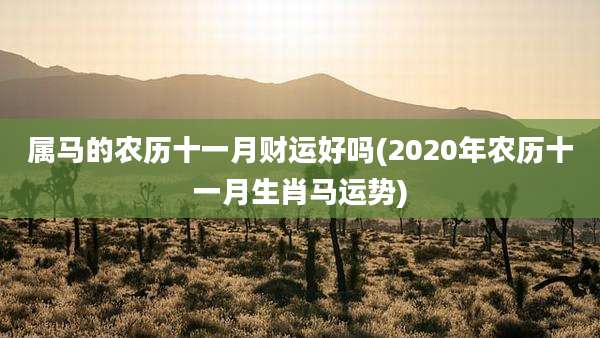 属马的农历十一月财运好吗(2020年农历十一月生肖马运势)