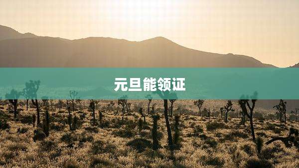 元旦能领证