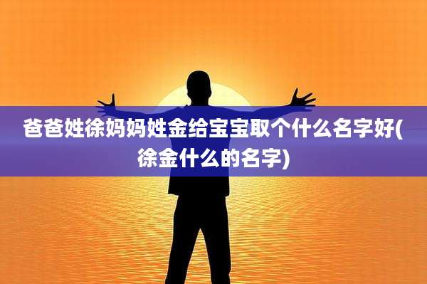 爸爸姓徐妈妈姓金给宝宝取个什么名字好(徐金什么的名字)
