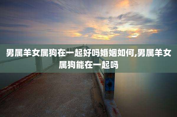 男属羊女属狗在一起好吗婚姻如何,男属羊女属狗能在一起吗