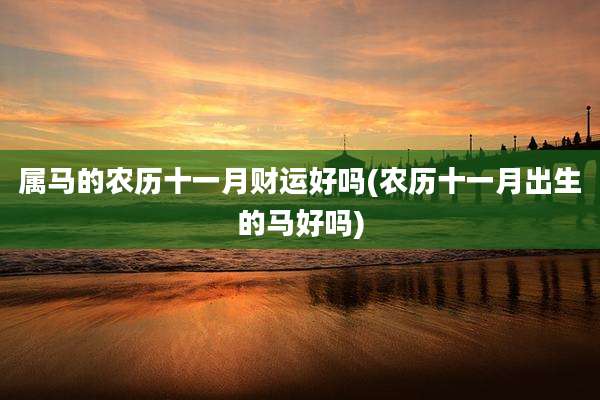 属马的农历十一月财运好吗(农历十一月出生的马好吗)