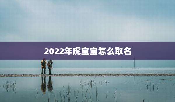 2022年虎宝宝怎么取名