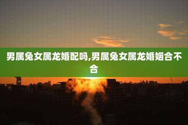 男属兔女属龙婚配吗,男属兔女属龙婚姻合不合