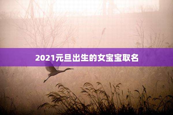 2021元旦出生的女宝宝取名