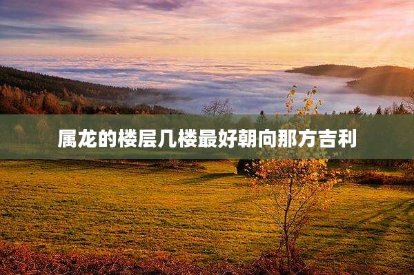 属龙的楼层几楼最好朝向那方吉利