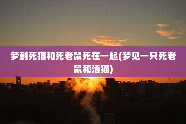 梦到死猫和死老鼠死在一起(梦见一只死老鼠和活猫)