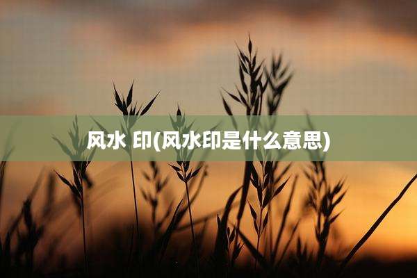 风水 印(风水印是什么意思)