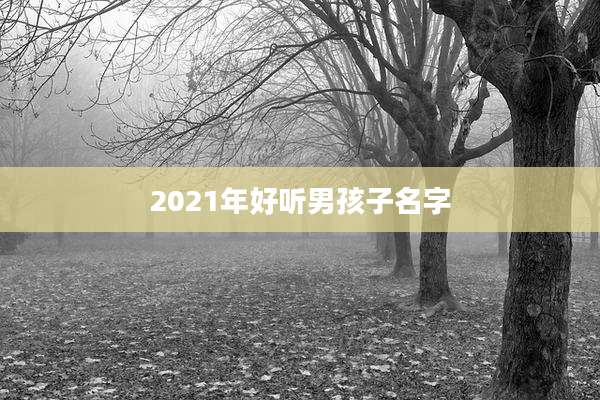 2021年好听男孩子名字
